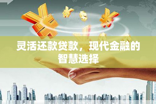 寿丰灵活还款贷款，现代金融的智慧选择