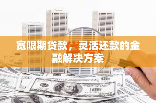 寿丰宽限期贷款，灵活还款的金融解决方案
