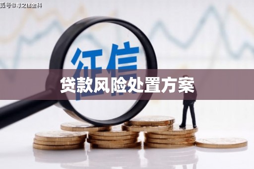 寿丰贷款风险处置方案