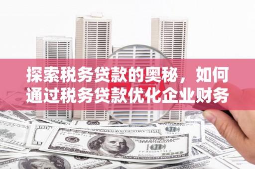 寿丰探索税务贷款的奥秘，如何通过税务贷款优化企业财务
