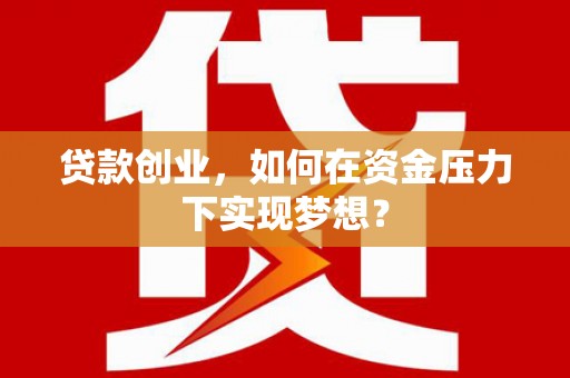 寿丰贷款创业，如何在资金压力下实现梦想？