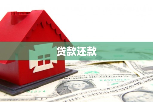 寿丰贷款还款