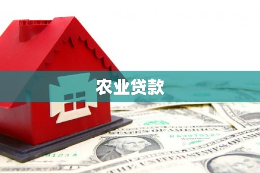 寿丰农业贷款