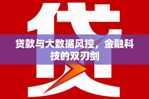 寿丰贷款与大数据风控，金融科技的双刃剑