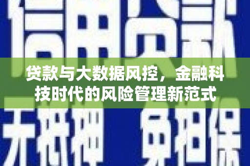 寿丰贷款与大数据风控，金融科技时代的风险管理新范式