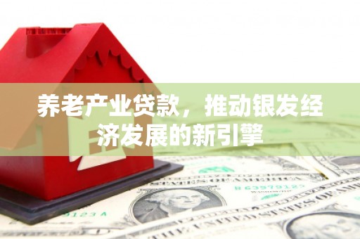 寿丰养老产业贷款，推动银发经济发展的新引擎