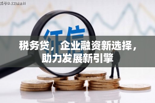 寿丰税务贷，企业融资新选择，助力发展新引擎