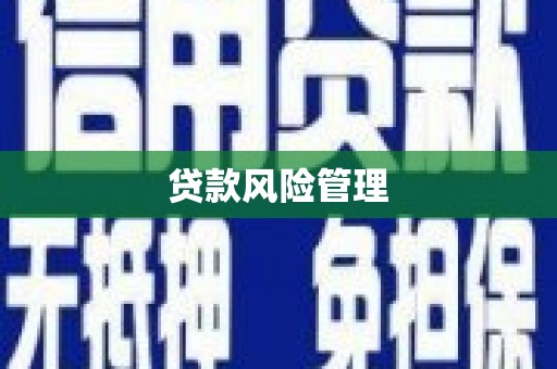 寿丰贷款风险管理