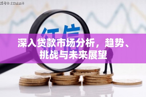 寿丰深入贷款市场分析，趋势、挑战与未来展望