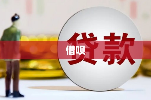 寿丰借呗