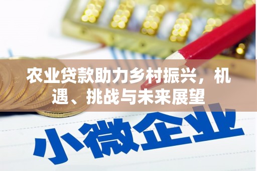 寿丰农业贷款助力乡村振兴，机遇、挑战与未来展望