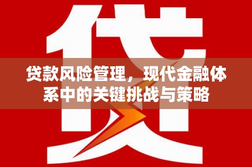 寿丰贷款风险管理，现代金融体系中的关键挑战与策略