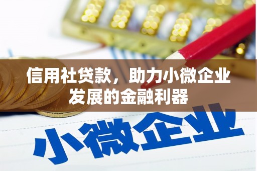 寿丰信用社贷款，助力小微企业发展的金融利器