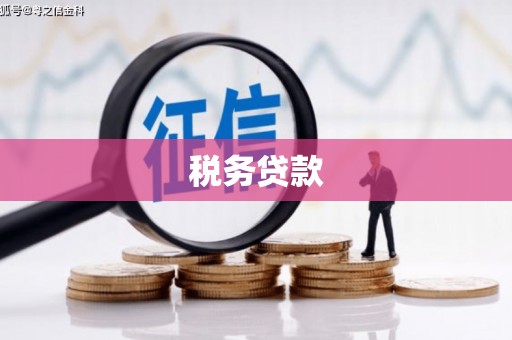 寿丰税务贷款