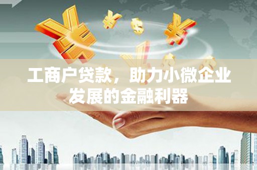 寿丰工商户贷款，助力小微企业发展的金融利器