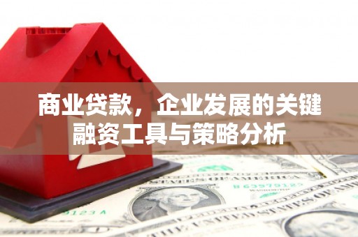 寿丰商业贷款，企业发展的关键融资工具与策略分析