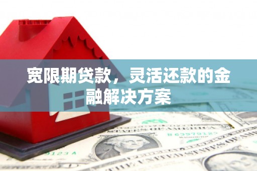 寿丰宽限期贷款，灵活还款的金融解决方案
