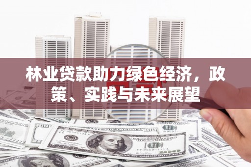 寿丰林业贷款助力绿色经济，政策、实践与未来展望