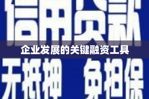 寿丰企业发展的关键融资工具