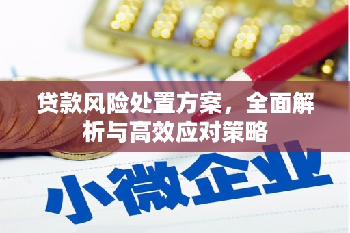 寿丰贷款风险处置方案，全面解析与高效应对策略
