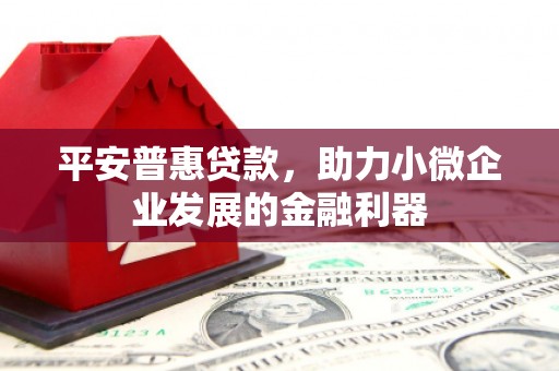 寿丰平安普惠贷款，助力小微企业发展的金融利器