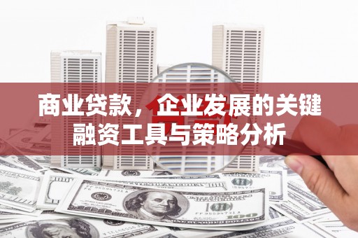寿丰商业贷款，企业发展的关键融资工具与策略分析