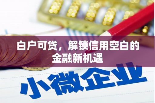寿丰白户可贷，解锁信用空白的金融新机遇