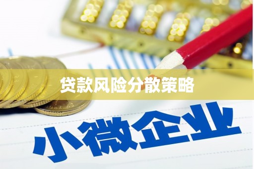 寿丰贷款风险分散策略