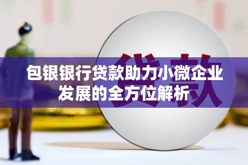 寿丰包银银行贷款助力小微企业发展的全方位解析