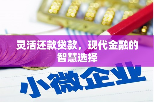 寿丰灵活还款贷款，现代金融的智慧选择