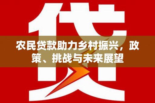 寿丰农民贷款助力乡村振兴，政策、挑战与未来展望