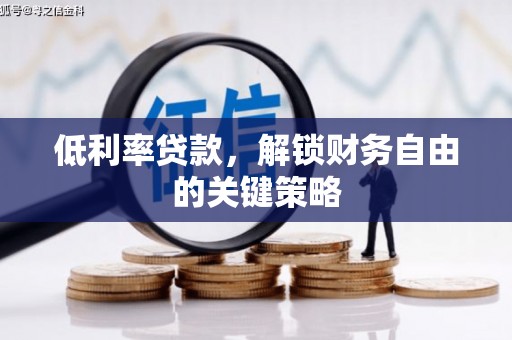寿丰低利率贷款，解锁财务自由的关键策略