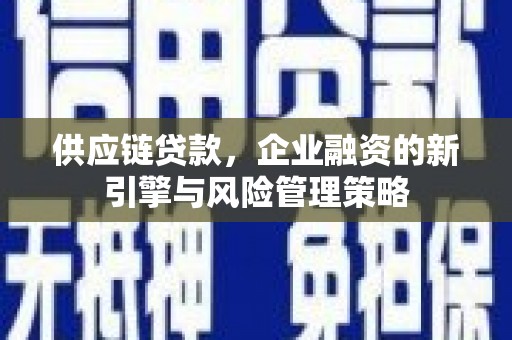 寿丰供应链贷款，企业融资的新引擎与风险管理策略