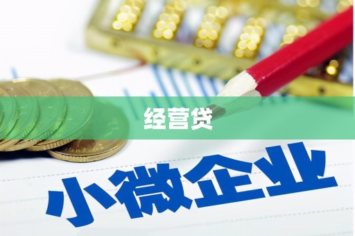 寿丰经营贷