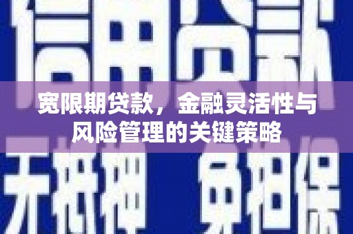 寿丰宽限期贷款，金融灵活性与风险管理的关键策略
