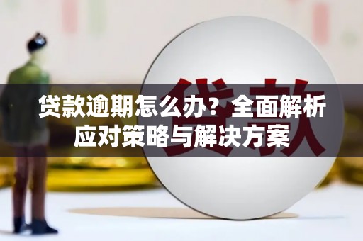 寿丰贷款逾期怎么办？全面解析应对策略与解决方案