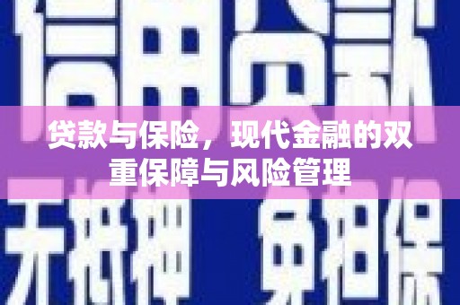 寿丰贷款与保险，现代金融的双重保障与风险管理