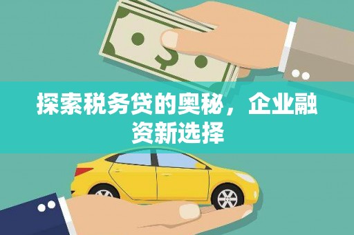 寿丰探索税务贷的奥秘，企业融资新选择