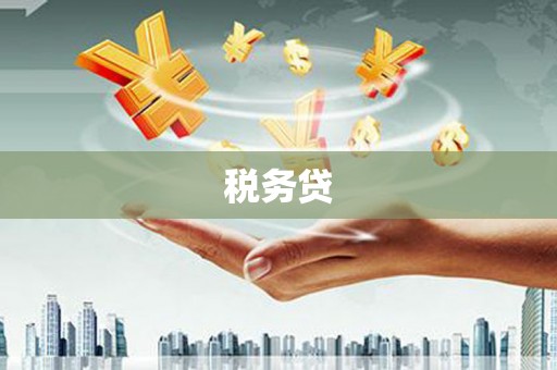 寿丰税务贷
