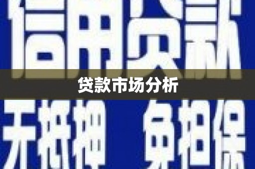 寿丰贷款市场分析