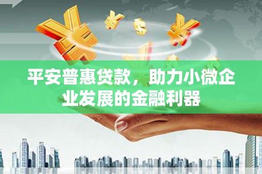 寿丰平安普惠贷款，助力小微企业发展的金融利器