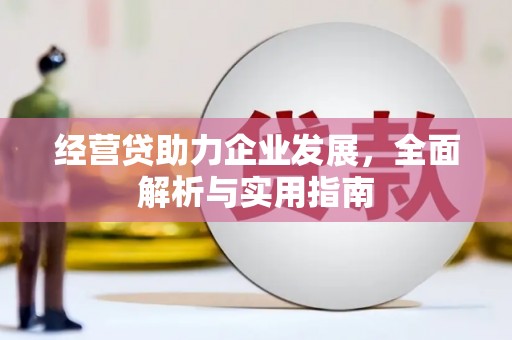 寿丰经营贷助力企业发展，全面解析与实用指南