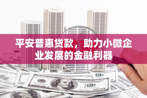 寿丰平安普惠贷款，助力小微企业发展的金融利器