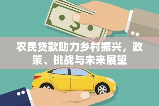 寿丰农民贷款助力乡村振兴，政策、挑战与未来展望
