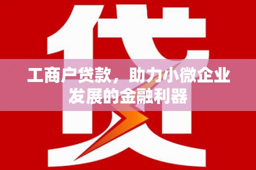 寿丰工商户贷款，助力小微企业发展的金融利器