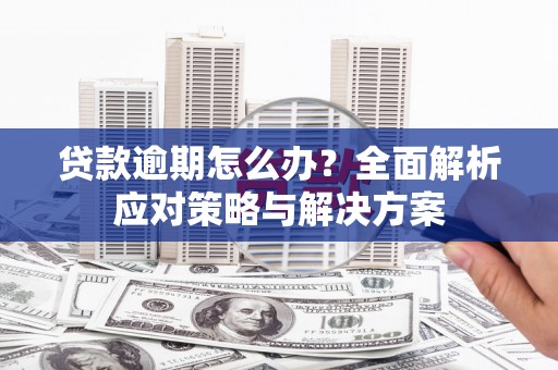 寿丰贷款逾期怎么办？全面解析应对策略与解决方案