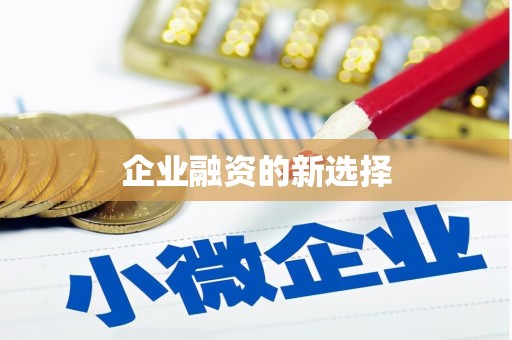 寿丰企业融资的新选择
