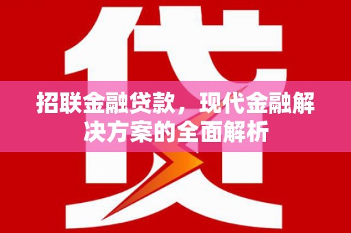 寿丰招联金融贷款，现代金融解决方案的全面解析