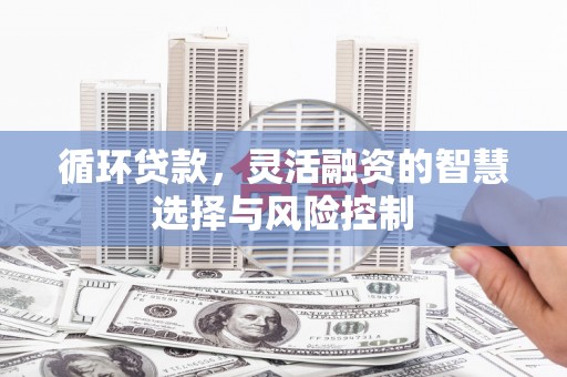 寿丰循环贷款，灵活融资的智慧选择与风险控制