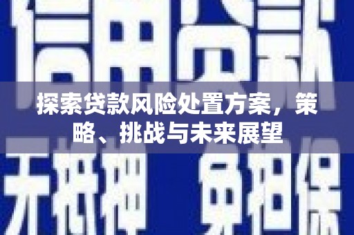 寿丰探索贷款风险处置方案，策略、挑战与未来展望